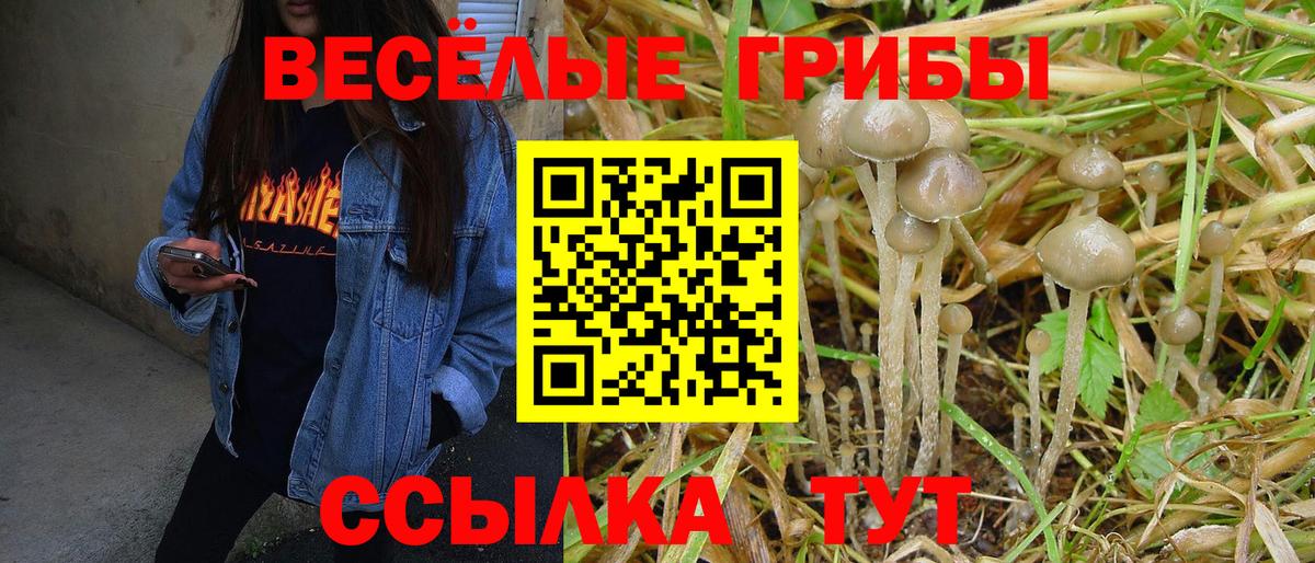 Галлюциногенные грибы ЛСД Ржев